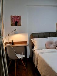 Parc Vista (D22), Condominium #484537611